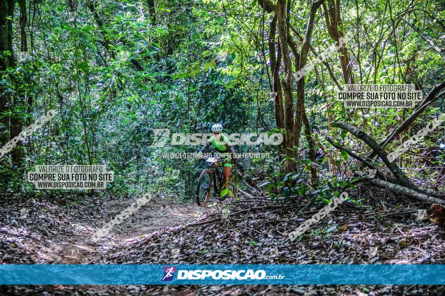 Circuito AEJ MTB 2023