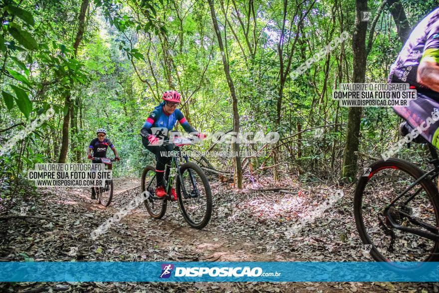 Circuito AEJ MTB 2023