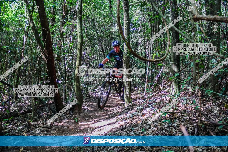 Circuito AEJ MTB 2023