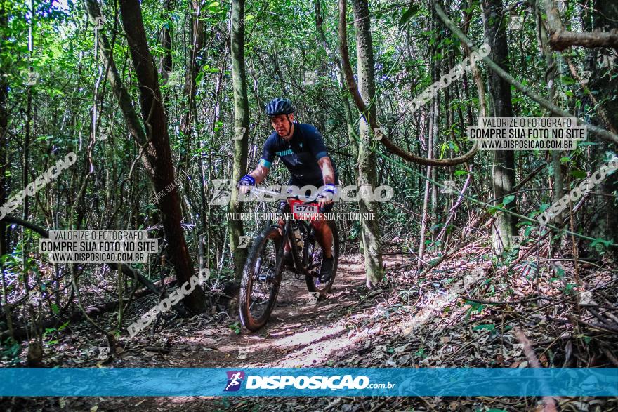 Circuito AEJ MTB 2023