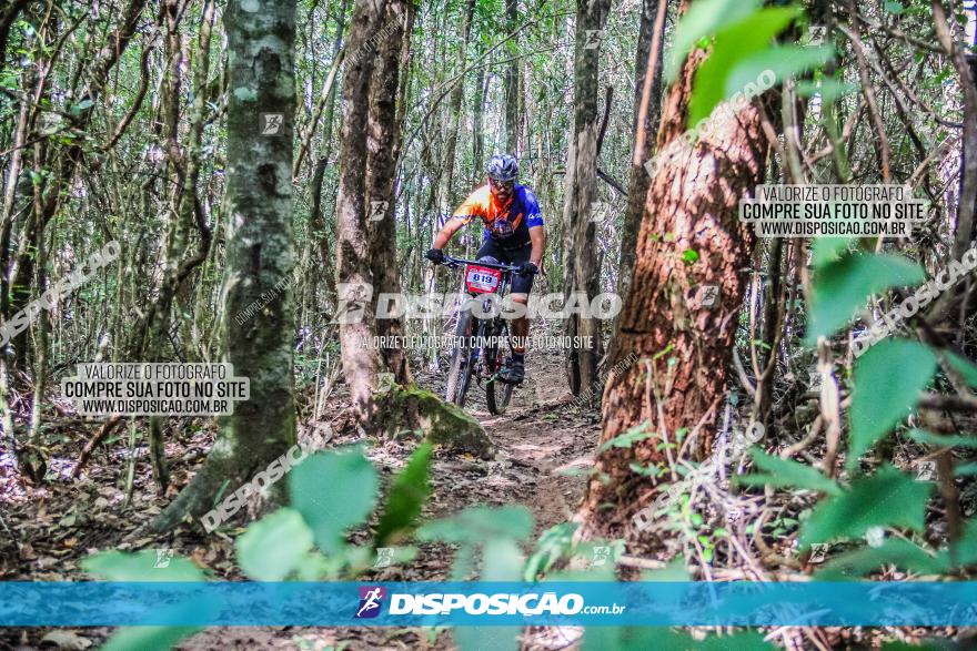 Circuito AEJ MTB 2023