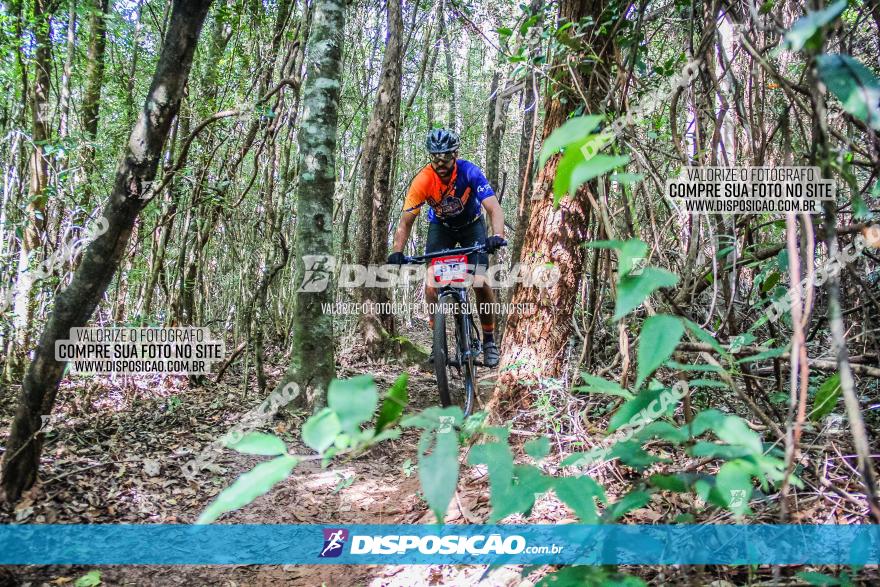 Circuito AEJ MTB 2023