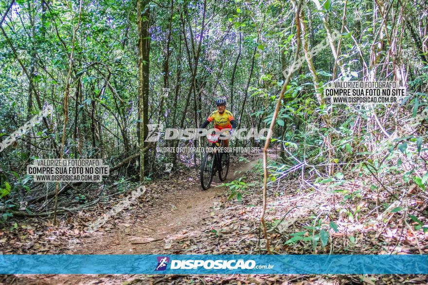 Circuito AEJ MTB 2023