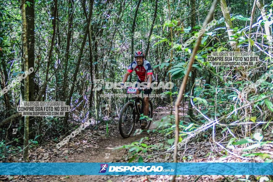 Circuito AEJ MTB 2023