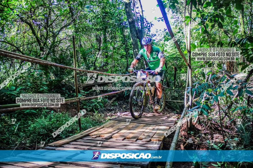 Circuito AEJ MTB 2023