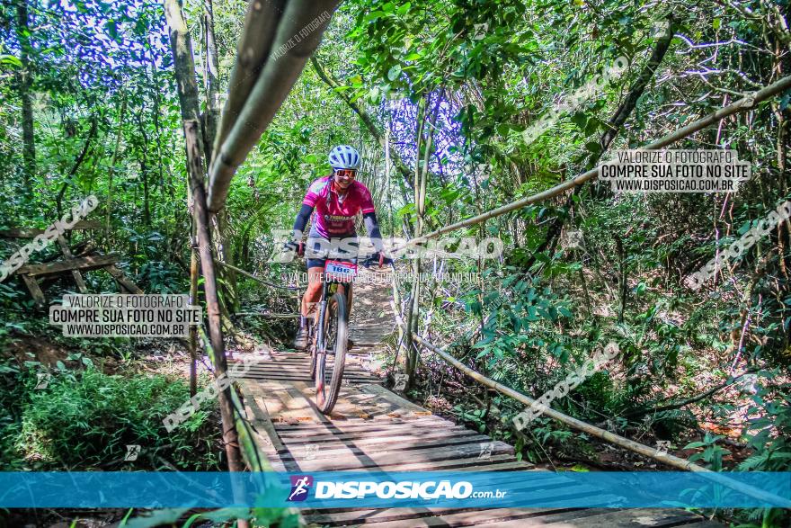 Circuito AEJ MTB 2023