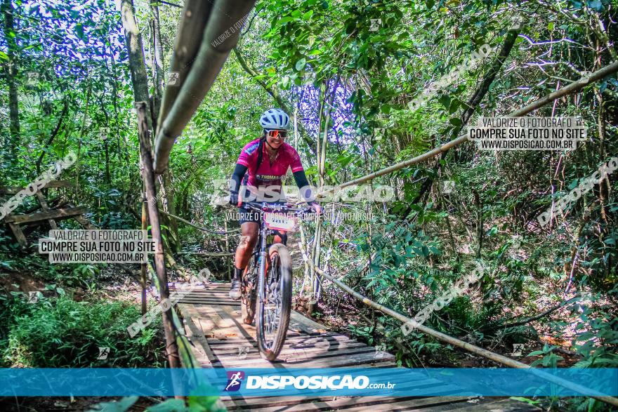 Circuito AEJ MTB 2023