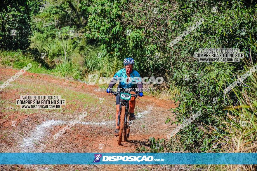 Circuito AEJ MTB 2023