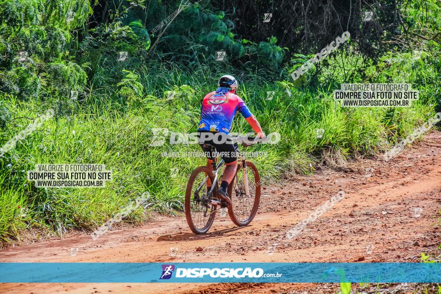 Circuito AEJ MTB 2023