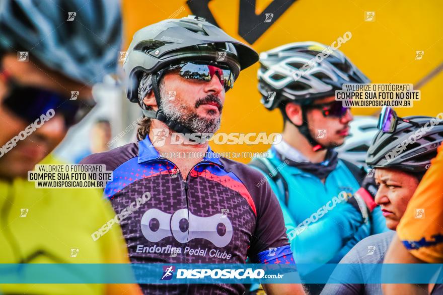 Circuito AEJ MTB 2023