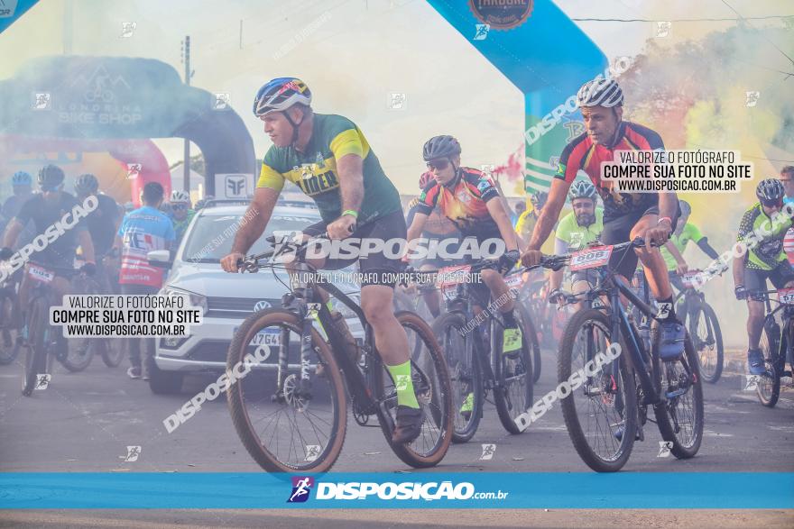 Circuito AEJ MTB 2023