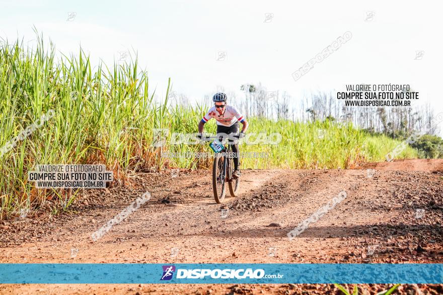 Circuito AEJ MTB 2023