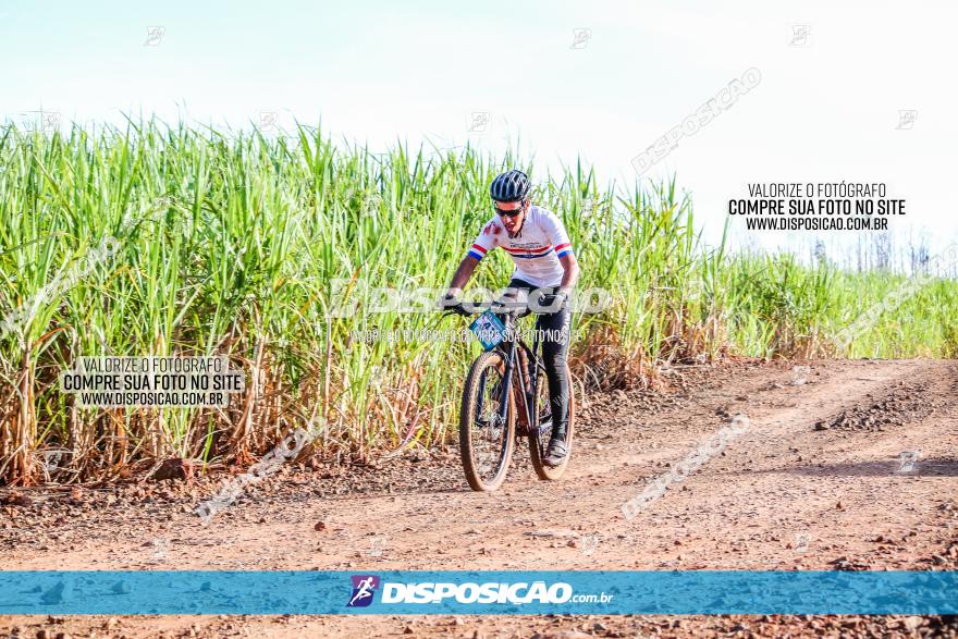 Circuito AEJ MTB 2023