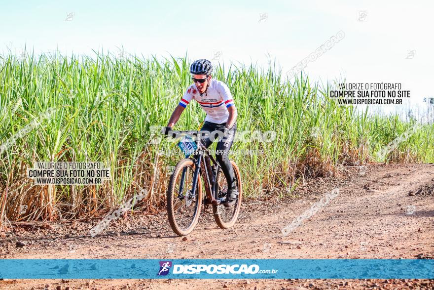 Circuito AEJ MTB 2023