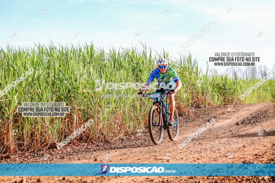 Circuito AEJ MTB 2023