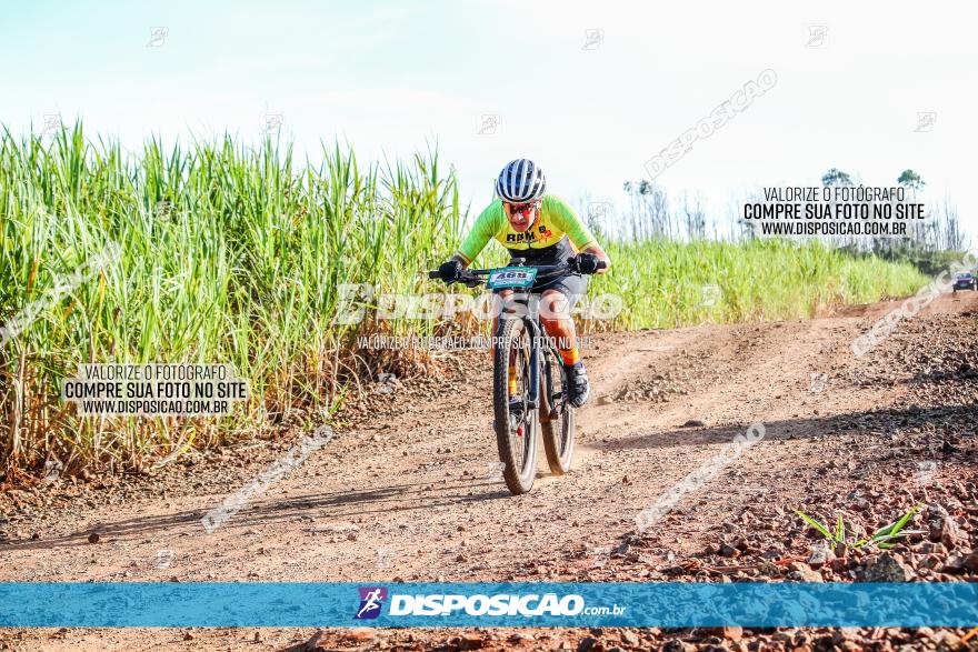 Circuito AEJ MTB 2023