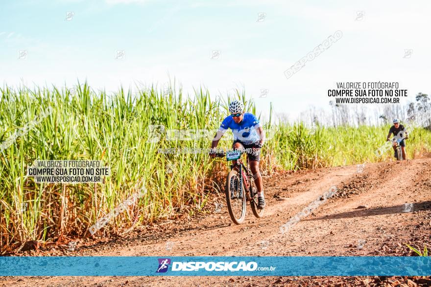 Circuito AEJ MTB 2023