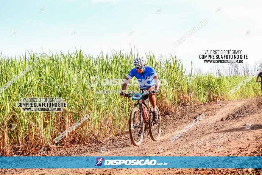 Circuito AEJ MTB 2023