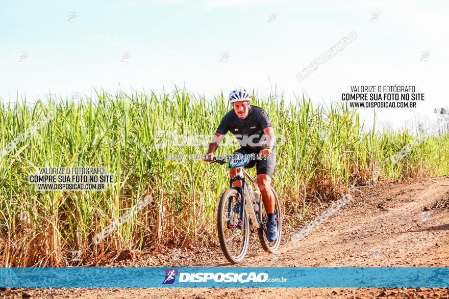 Circuito AEJ MTB 2023