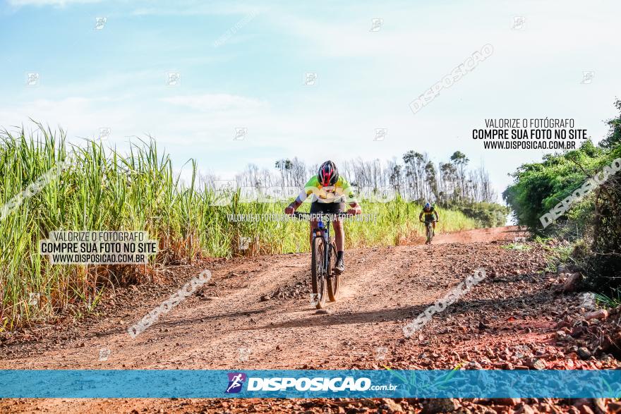 Circuito AEJ MTB 2023