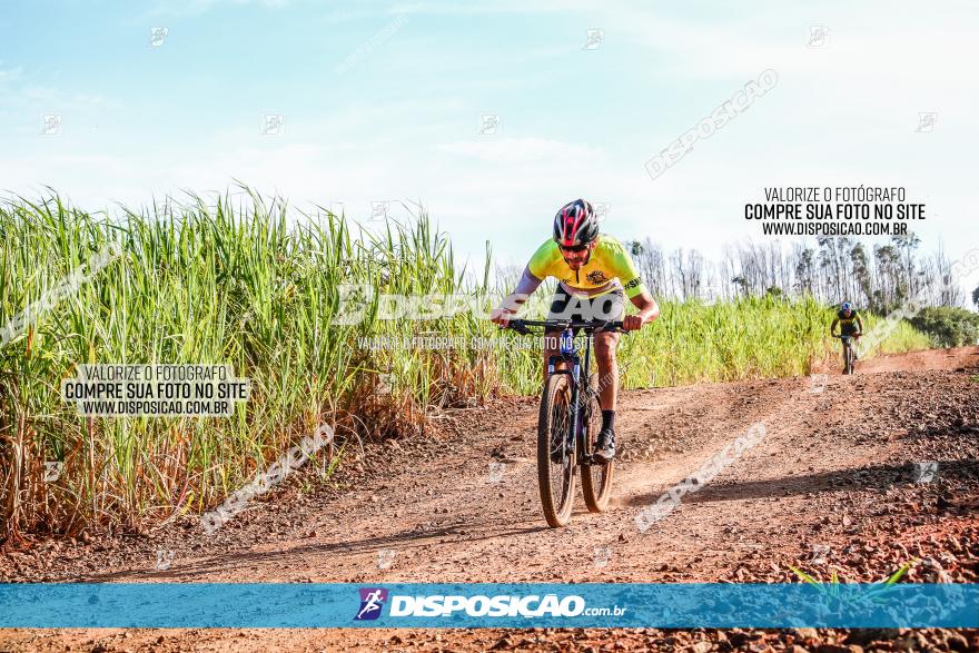 Circuito AEJ MTB 2023