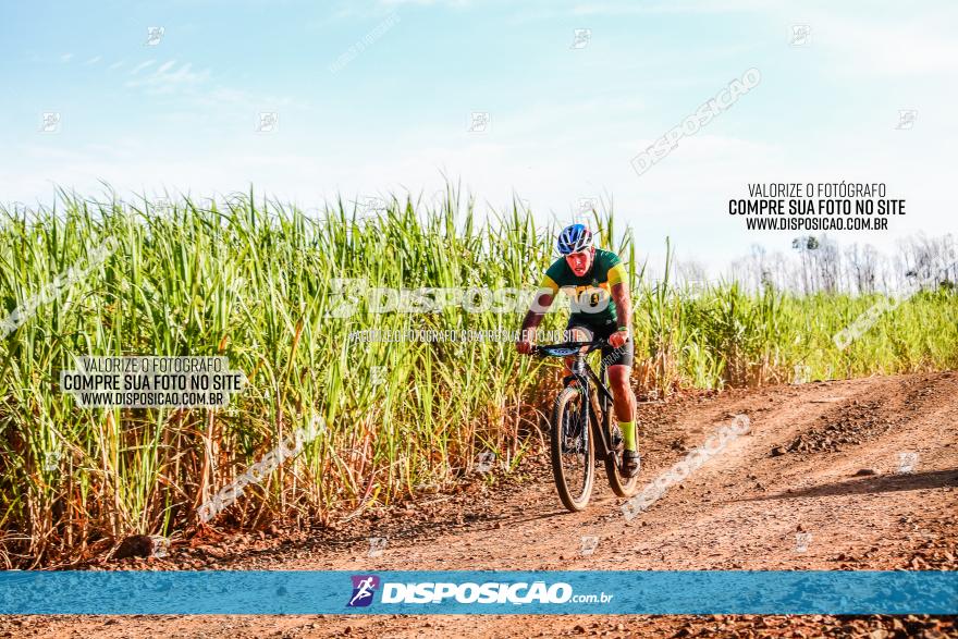 Circuito AEJ MTB 2023