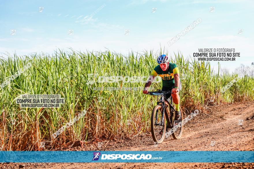 Circuito AEJ MTB 2023