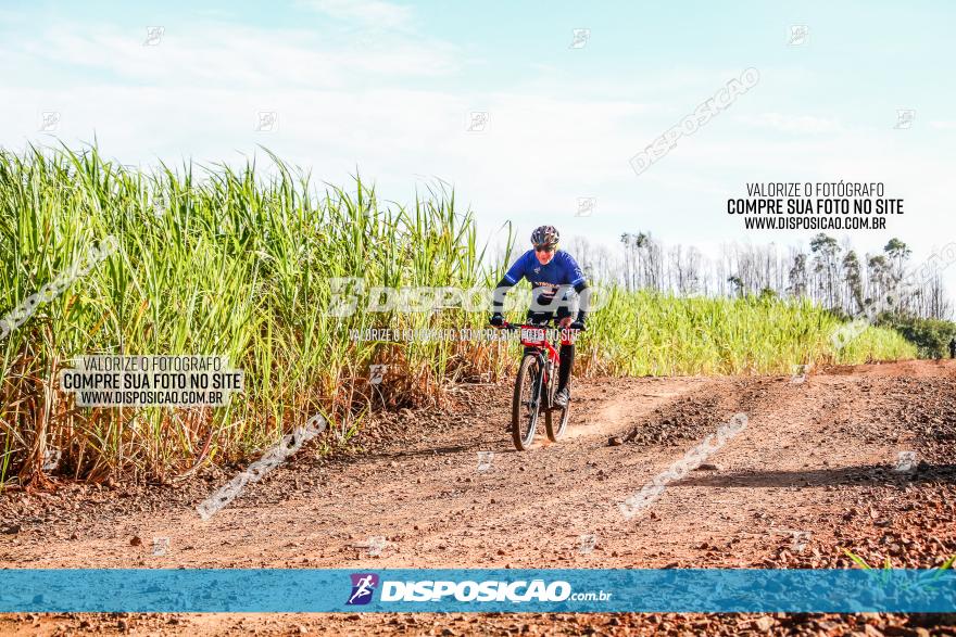 Circuito AEJ MTB 2023