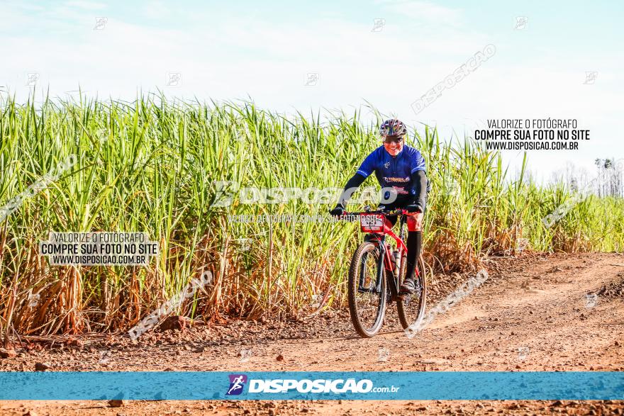 Circuito AEJ MTB 2023