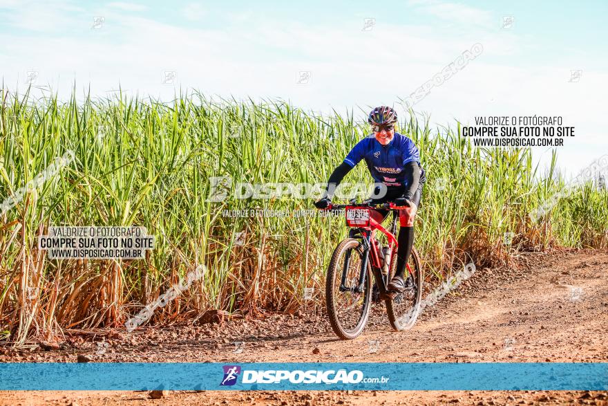 Circuito AEJ MTB 2023