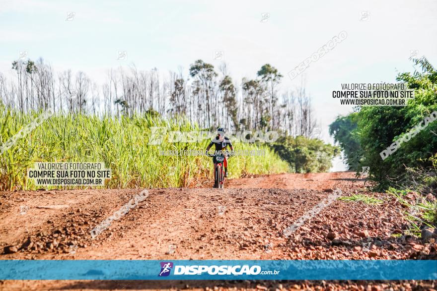 Circuito AEJ MTB 2023