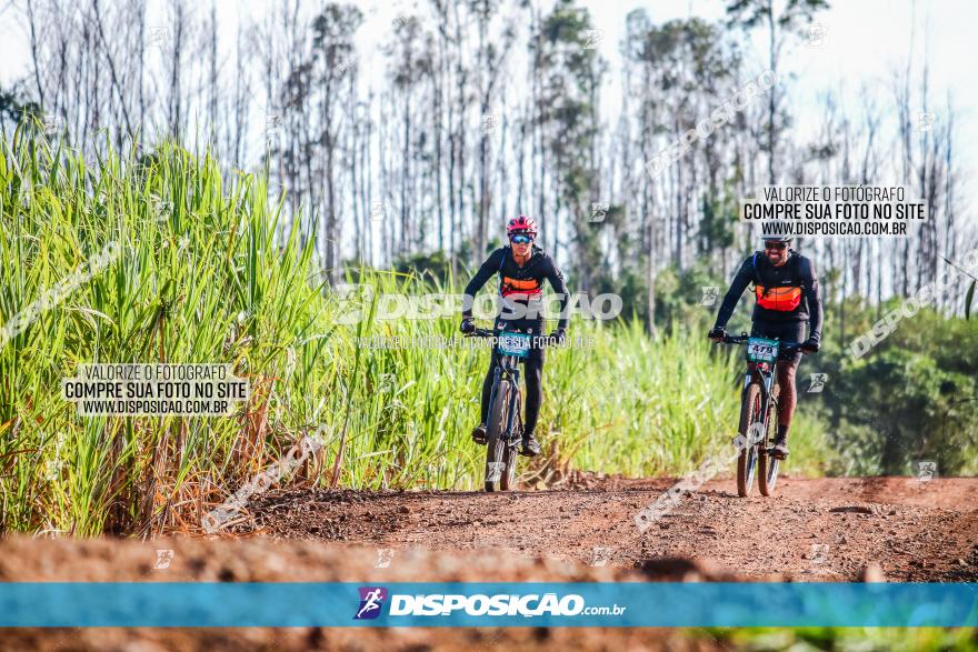 Circuito AEJ MTB 2023