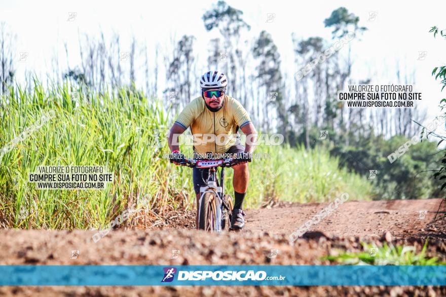 Circuito AEJ MTB 2023