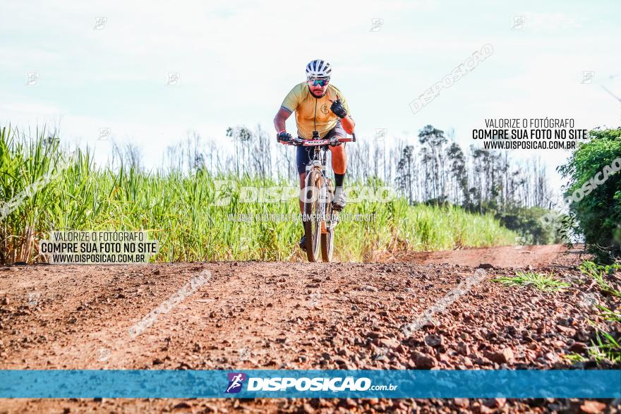 Circuito AEJ MTB 2023