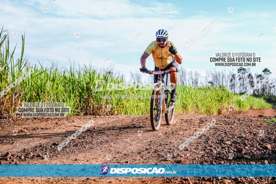 Circuito AEJ MTB 2023