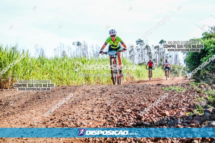 Circuito AEJ MTB 2023