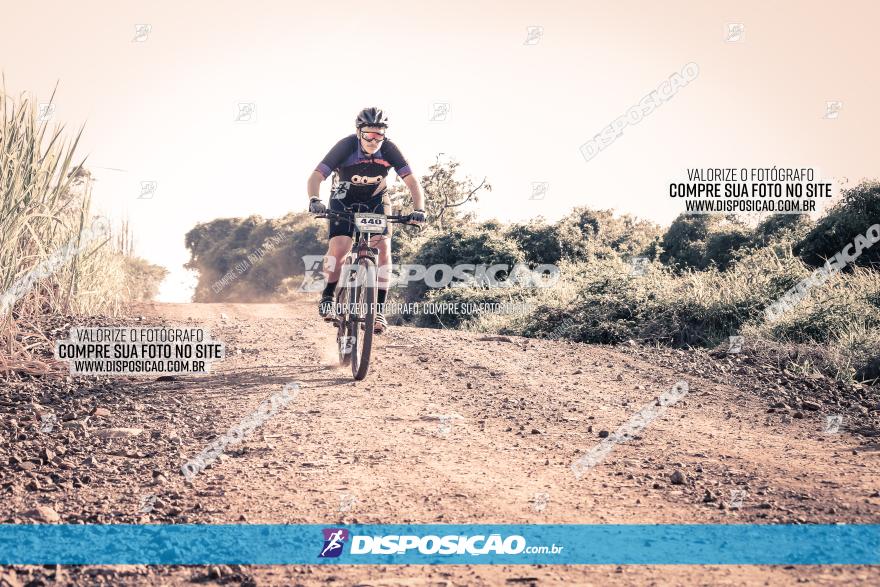 Circuito AEJ MTB 2023