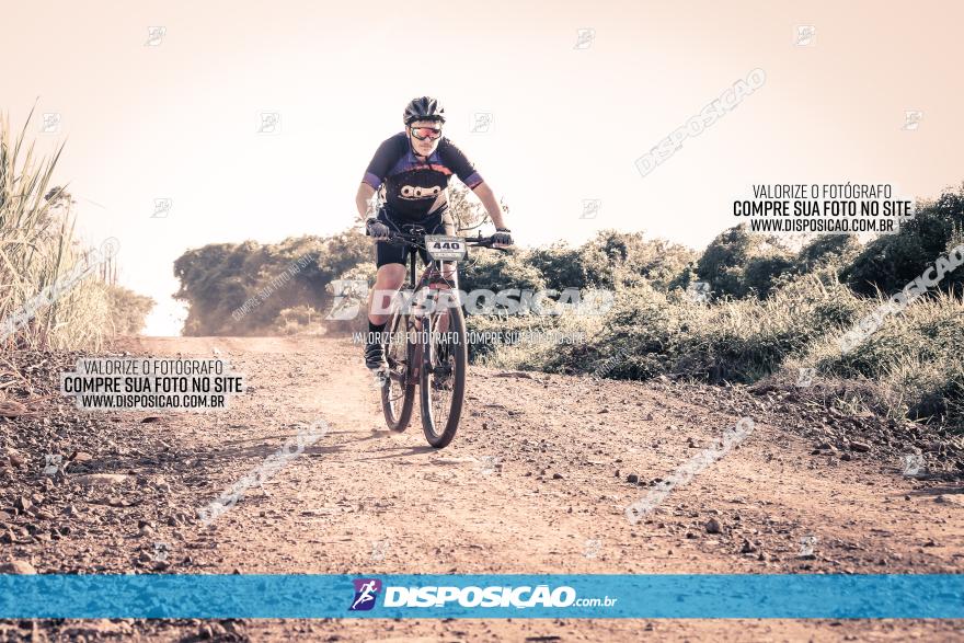 Circuito AEJ MTB 2023