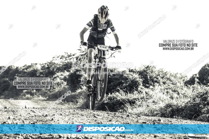 Circuito AEJ MTB 2023