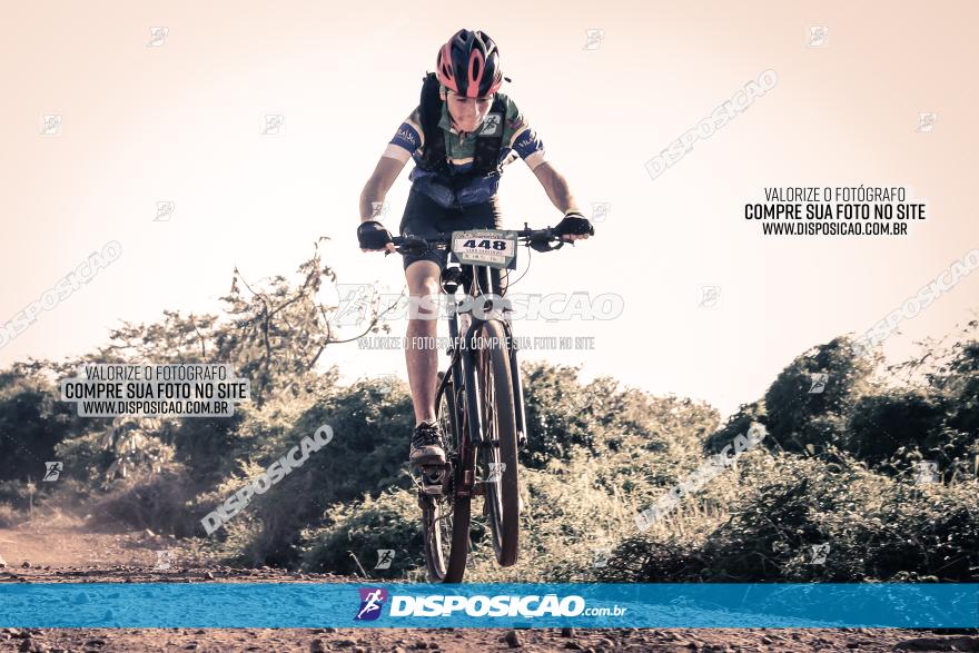 Circuito AEJ MTB 2023