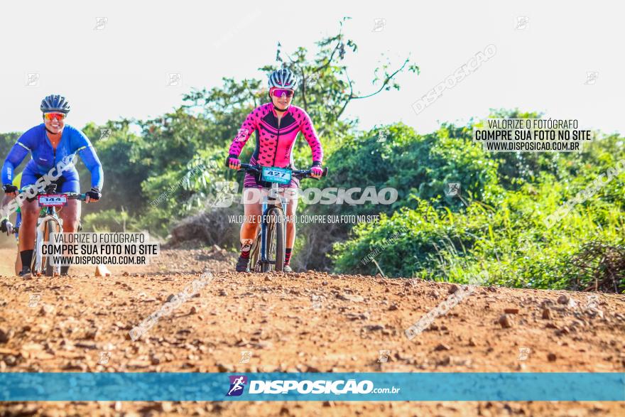 Circuito AEJ MTB 2023