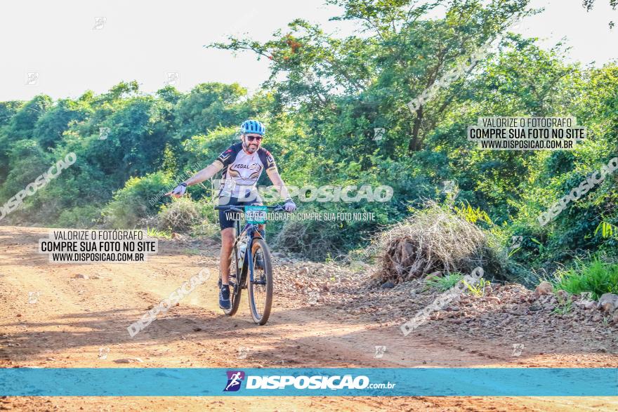 Circuito AEJ MTB 2023