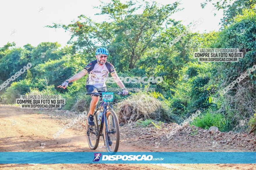 Circuito AEJ MTB 2023