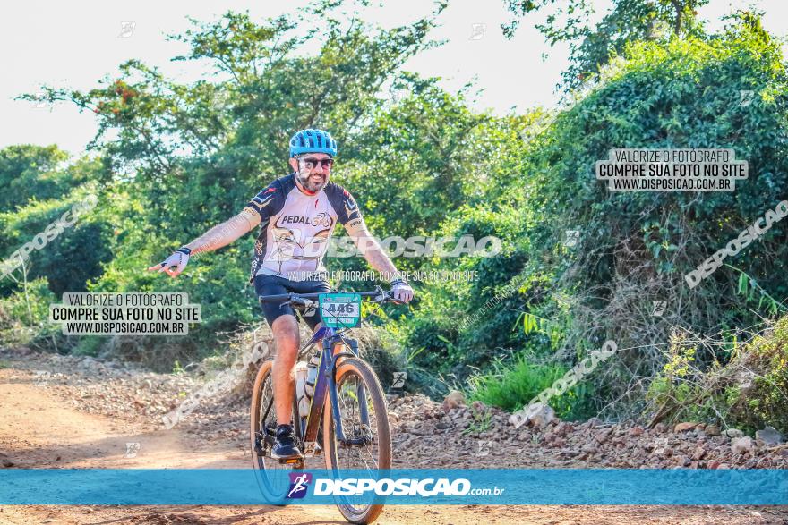 Circuito AEJ MTB 2023