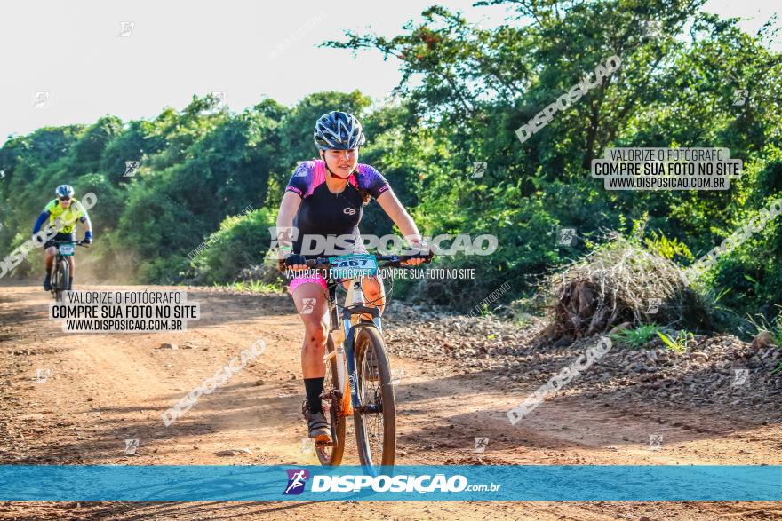 Circuito AEJ MTB 2023