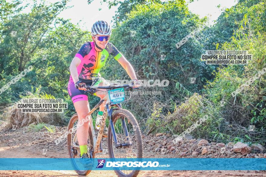 Circuito AEJ MTB 2023