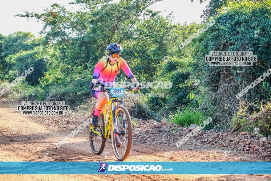 Circuito AEJ MTB 2023