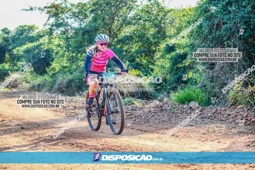 Circuito AEJ MTB 2023