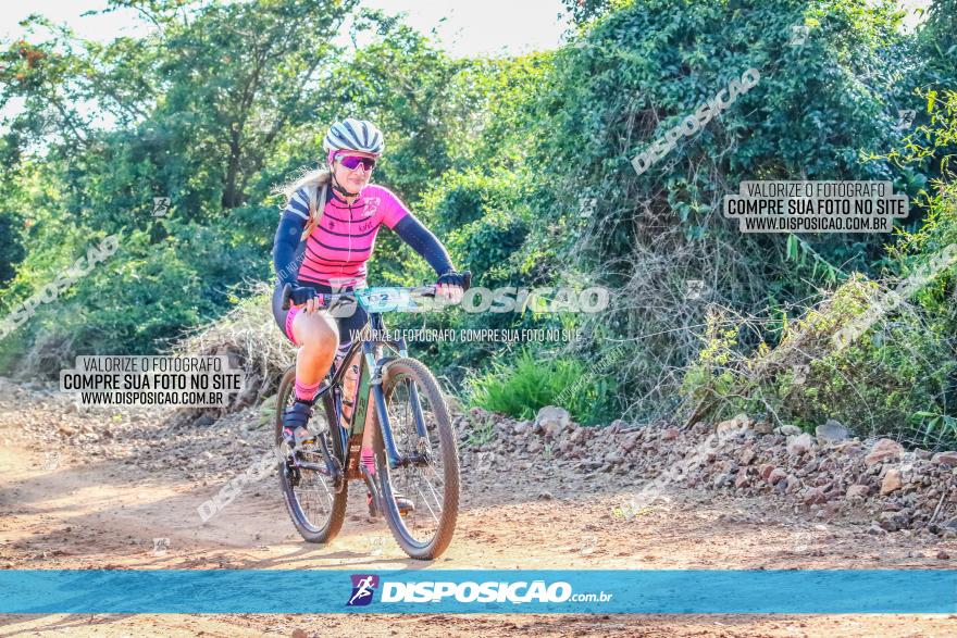 Circuito AEJ MTB 2023