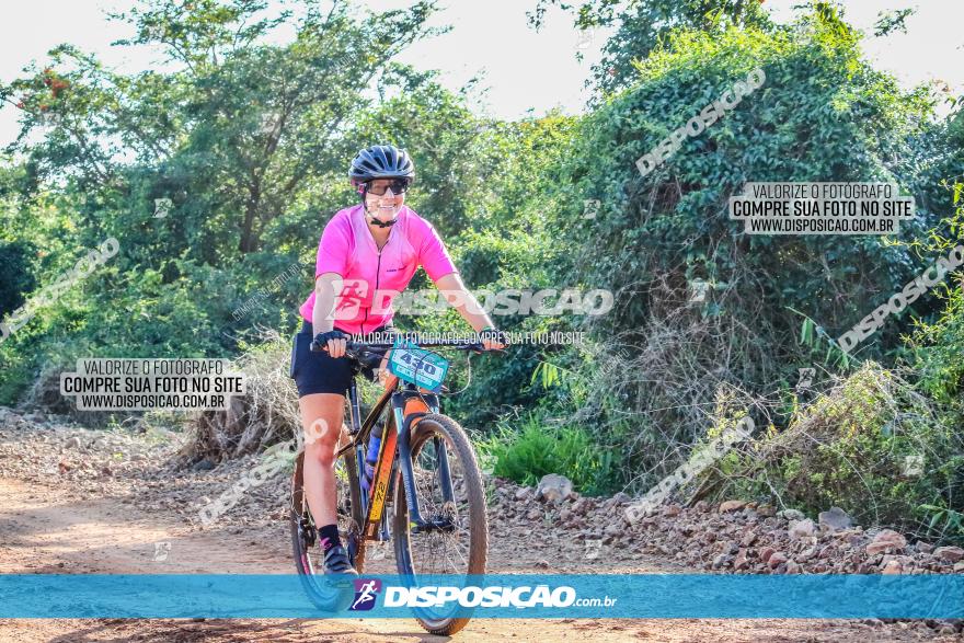 Circuito AEJ MTB 2023